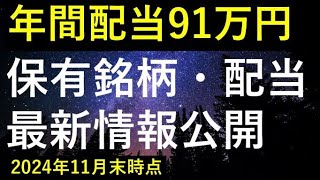 【今年の購入終了】2024年11月末時点の保有銘柄・配当最新情報公開 [upl. by Annis]