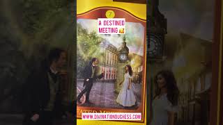 Destined tarot tarotreading divinationduchess lovereading lovetarot lovetarotreading [upl. by Airemaj164]