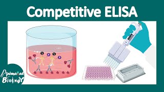 Competitive ELISA  Principles and applications of Competitive ELISA  CSIR Unit 13 [upl. by Heurlin]