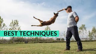 Beckmans Dog Training Puppy Edition  Transform Your Furry Friend into the Perfect [upl. by Ittap326]