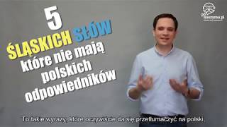 5 Śląskich Słów Które Nie Mają Polskiego Odpowiednika [upl. by Heyde]