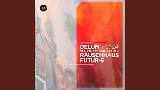 Furia Rauschhaus Remix [upl. by Nodnab]