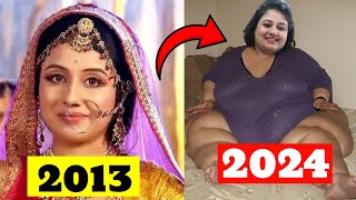 Jodha Akbar Serial Star Cast Then and Now  2013  2024 [upl. by Bahner]