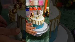 Panda drip cake cake trending shorts viralvideo [upl. by Evatsug]