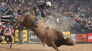 Bulls That Have WRECKED The Most Riders Top 3 Buckoff Streaks Right Now  2019 [upl. by Tabina639]