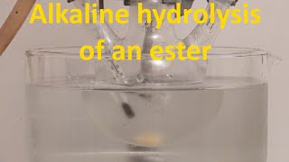 Alkaline hydrolysis of methyl acetate Alkaline hydrolysis of esters [upl. by Nyliret]