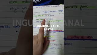 INGUINAL CANAL PART2 [upl. by Gurl]