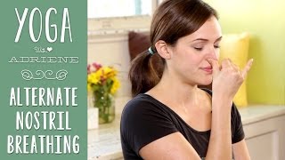 Yoga Breathing  Alternate Nostril Breathing [upl. by Harlene]