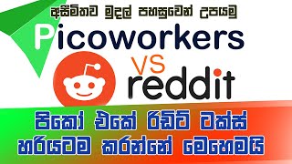 How to Work Reddit Upvote Task in Picoworkers  Picoworkers Sinhalen [upl. by Ydoc]