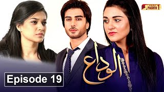 Alvida  Episode 19  Pashto Drama Serial  HUM Pashto 1 [upl. by Ummersen]