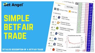 Betfair trading  A simple preoff horse racing trade  Fully explained [upl. by Annehsat]