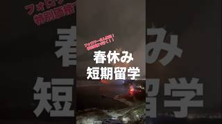 【「春休み短期留学」お得なキャンペーンのお知らせ】 海外 海外留学 春休み留学 短期留学 [upl. by Brockie]