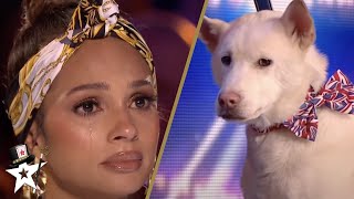 Dog Magic Act Makes Judges CRY on Britains Got Talent [upl. by Gurolinick50]