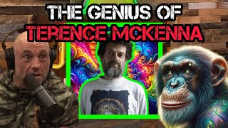 Joe Rogan STUNNED by Terence McKenna quotCultural is NOT your Friendquot [upl. by Cuttie702]