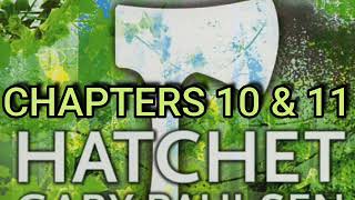 Hatchet chapters 10 and 11 [upl. by Symer]