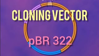 Cloning VectorPlasmid pBR322  Biotechnology Principle and process Class 12th Biology classes [upl. by Ignatzia228]