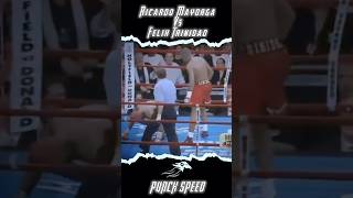 Felix Trinidads Best Performance  Ricardo Mayorga Vs Felix Trinidad [upl. by Langsdon]