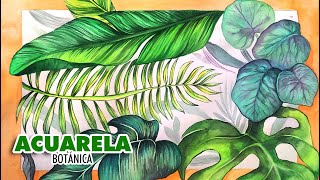 🎨 Acuarela Botánica  Botanical Watercolor [upl. by Pritchard]