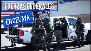 NUEVO PLAN DE SEGURIDAD PARA CELAYA Y TODO GUANAJUATO [upl. by Esiuolyram55]