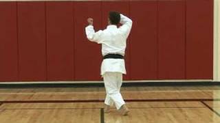 Shotokan Kata  Chinte teach by Naka Tatsuya sensei [upl. by Tristan582]