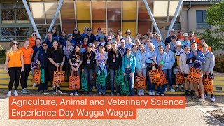 Agriculture Animal and Veterinary Science Experience Day Charles Sturt University Wagga Wagga [upl. by Maclean]