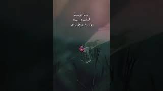 Tere Siwa Mera koi nahi 🥀🥺 islamicquotes urdushayari deeplines youtubeshorts [upl. by Sherourd]