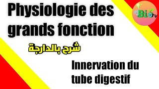 innervation du tube digestif  physiologie des grands fonction [upl. by Whyte]