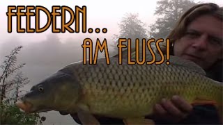 Feedern auf Karpfen am Fluss  Tipps und Tricks [upl. by Tarr618]