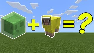 I Combined a Slime and a Yellow Sheep in Minecraft  Heres What Happened [upl. by Benji977]