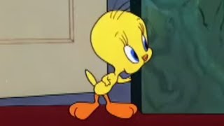 Tweety Bird  Looney Tunes  Moviegames 2014 HD [upl. by Thanos]