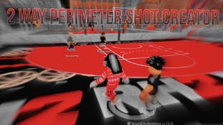 My 2 Way Perimeter Shot Creator Is The Best Guard Build In RH2 The Journey [upl. by Hallagan909]