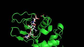 pymol animation [upl. by Assili67]