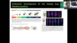 IntroEcoEvoDevo Parte 1 [upl. by Nuavahs]