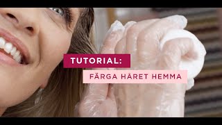 Färga håret hemma med Excellence  Tutorial  L’Oréal Paris [upl. by Bartko]