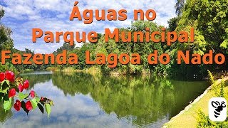 Águas no Parque Municipal Fazenda Lagoa do Nado [upl. by Onitselec]