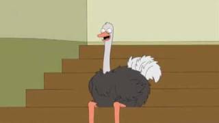 Family Guy  Ostrich Laugh [upl. by Annayrb]