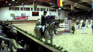 Levisonn  Sosath Stallion Show 2014 [upl. by Iral]