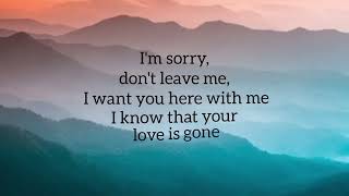 slander i m sorry don t leave me i want here with me lyrics love is gone 1080 [upl. by Ahseat]