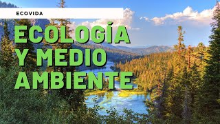 ECOLOGÍA y MEDIO AMBIENTE VIDEO EDUCATIVO ✅ [upl. by Vanderhoek]