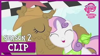 The Race Sisterhooves Social  MLP FiM HD [upl. by Hidie]