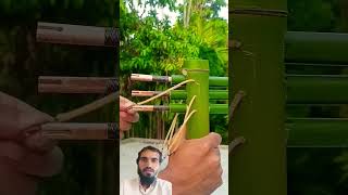 bamboo creation 🔥short videoYouTube shortviral videobamboo 🎍foryou 1millionviewsnazifullah [upl. by Traweek]