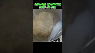 How to Brew a Hazy NEIPA  s41 NEIPA Hazy 10  DIY Homebrew Recipe [upl. by Leachim655]