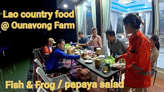 Eating Lao country food  grilled fish and frog with Papaya salad farmland in Laos [upl. by Naxela952]