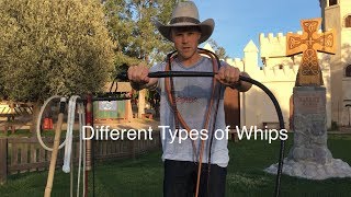 Types of Whips a Comparison [upl. by Denice]