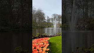 Keukenhof Gardens keukenhof amsterdam netherlands [upl. by Sevy]