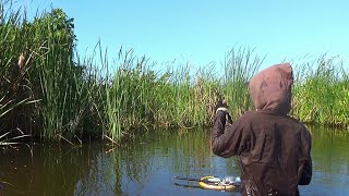 Ikan Ngumpul Di depan Mata‼️Mancing Nila Pekalongan [upl. by Netsuj]