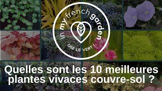 Quelles sont les 10 meilleures plantes vivaces couvresol [upl. by Delaney]