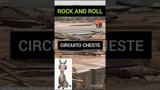 CIRCUITO DE CHESTE TRAS LA DANA  DUDA PARA EL GP DE VALENCIA [upl. by Ydnem35]