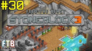 SEVİYE 3 BLOOD ALTAR VE TEKRAR POLONİUM PELLET  Stoneblock 3 Türkçe  Bölüm 30 [upl. by Eelesor778]