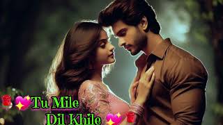 Tum Mile Dil Khile💖🌹❤💞 HD Video Song singing454  Akkineni Nagarjuna Manisha Koirala  Kumar Sanu [upl. by Nnaeirb]